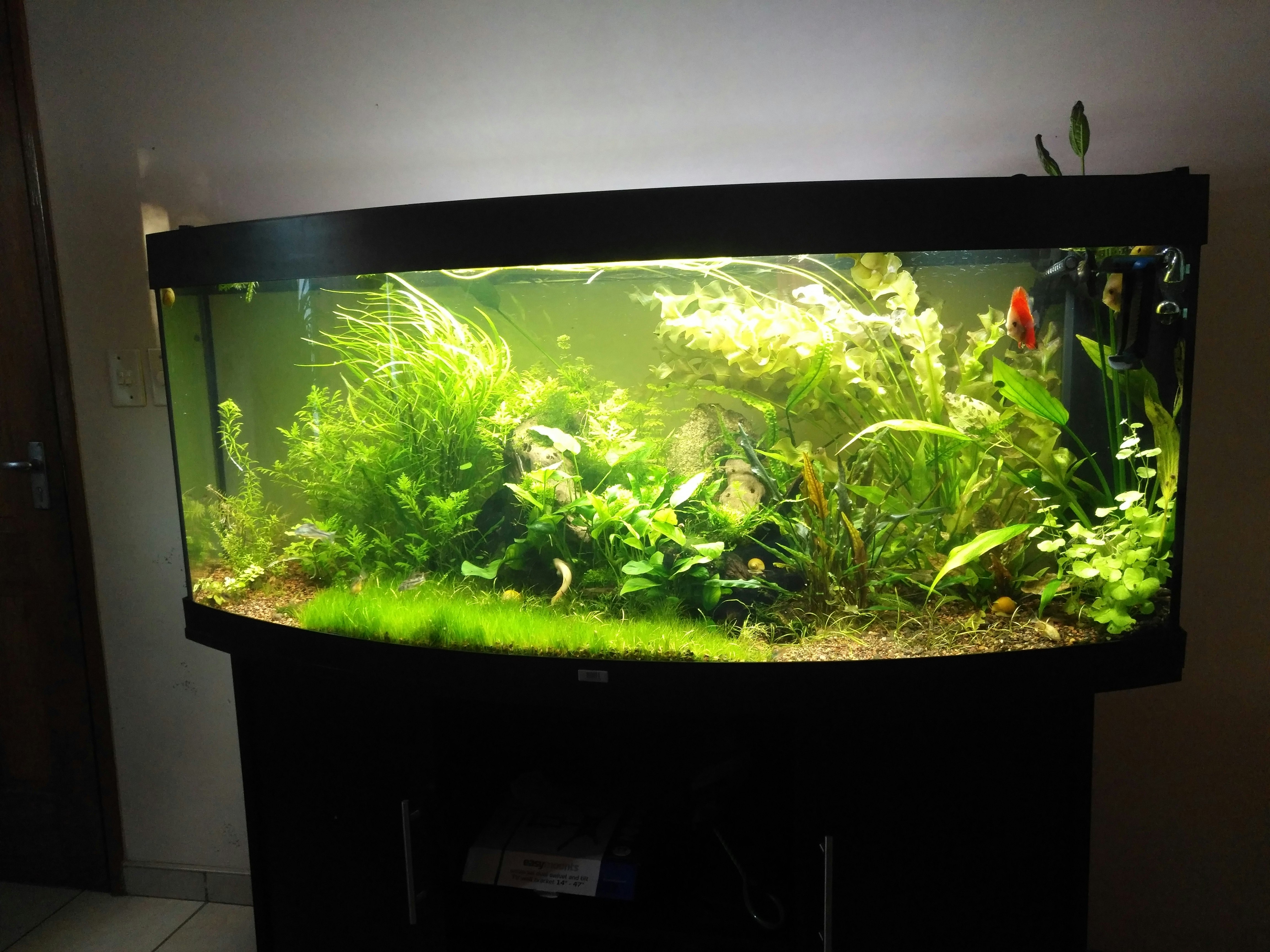 Fluval Plant 3.0 LED Light For Sale